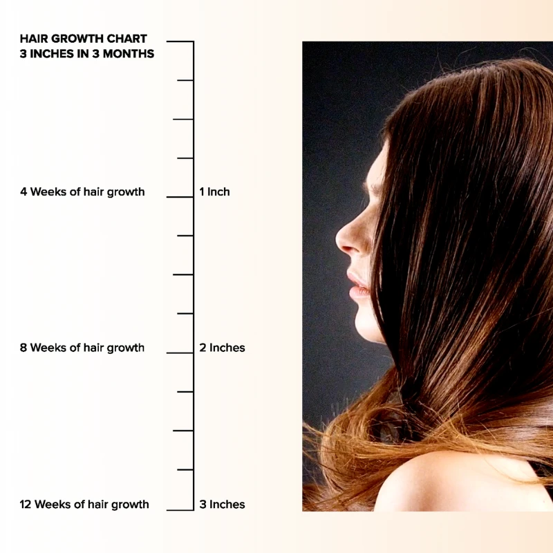 Hair Glaze Box 9 Hair Glaze Box - Image 7